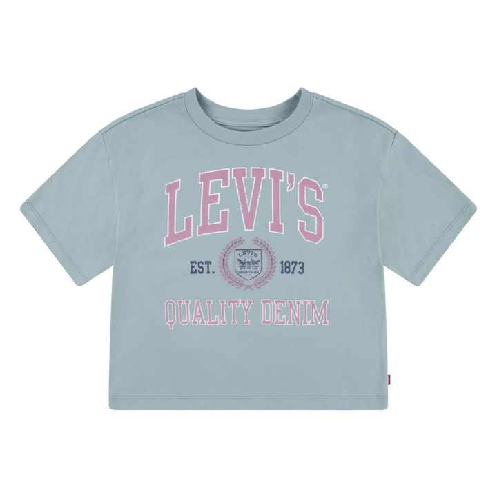 Levi's Collegiate Meet and Greet Tee Levi’s Blue Surf (Big Kids)