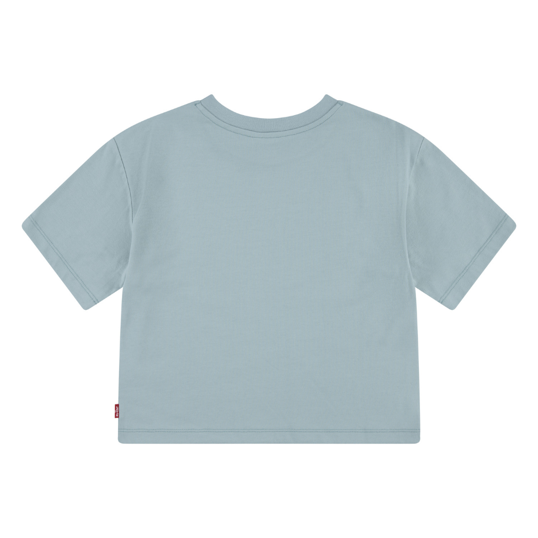 Levi's Collegiate Meet and Greet Tee Levi’s Blue Surf (Big Kids)