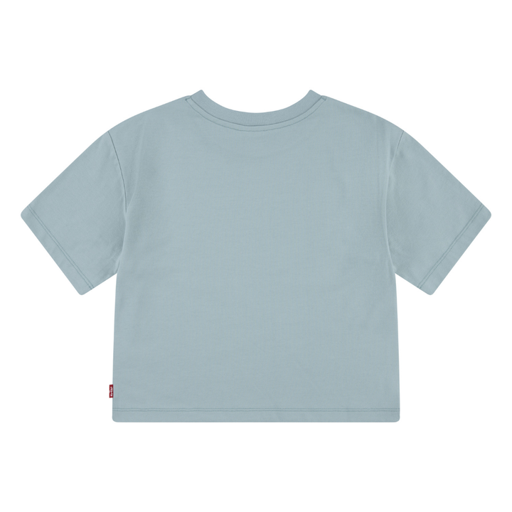 Levi's Collegiate Meet and Greet Tee Levi’s Blue Surf (Big Kids)