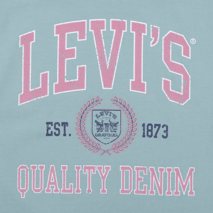 Levi's Collegiate Meet and Greet Tee Levi’s Blue Surf (Big Kids)