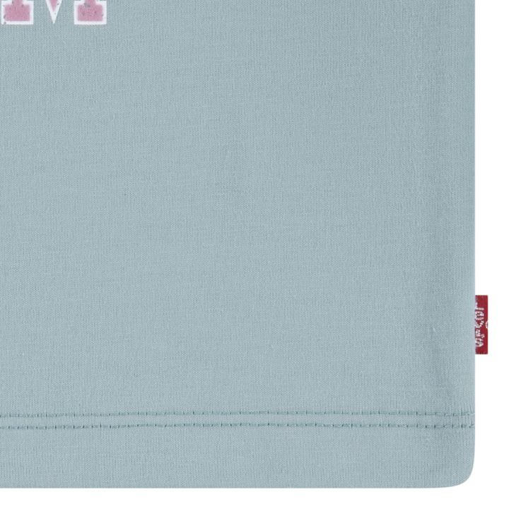 Levi's Collegiate Meet and Greet Tee Levi’s Blue Surf (Big Kids)
