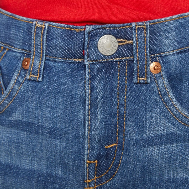 Levi's Boys Performance Shorts Blown Away (Little Kids)