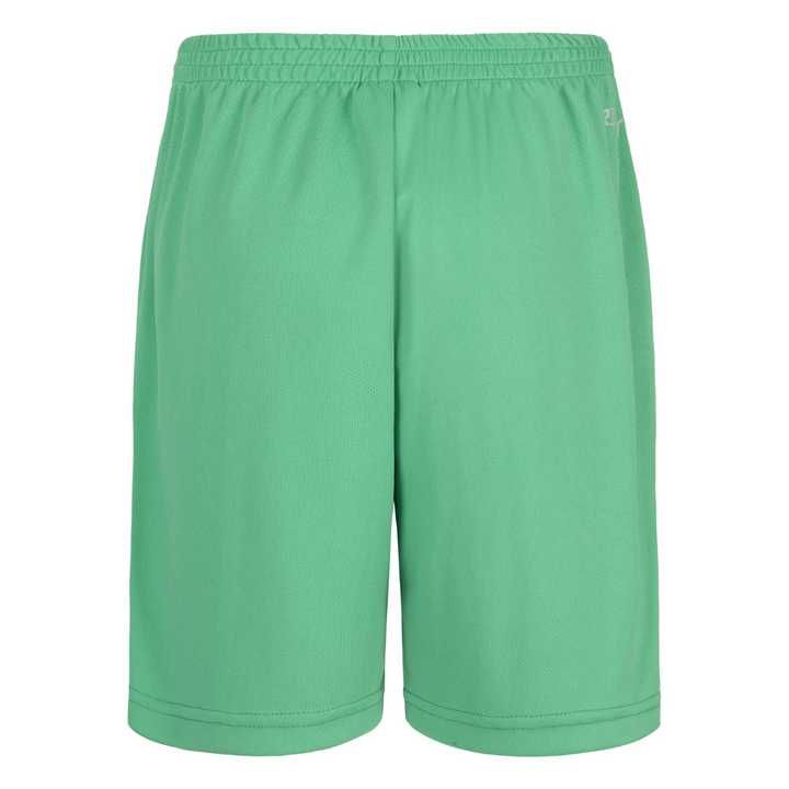 Nike Dri-FIT Shorts (Little Kids)
