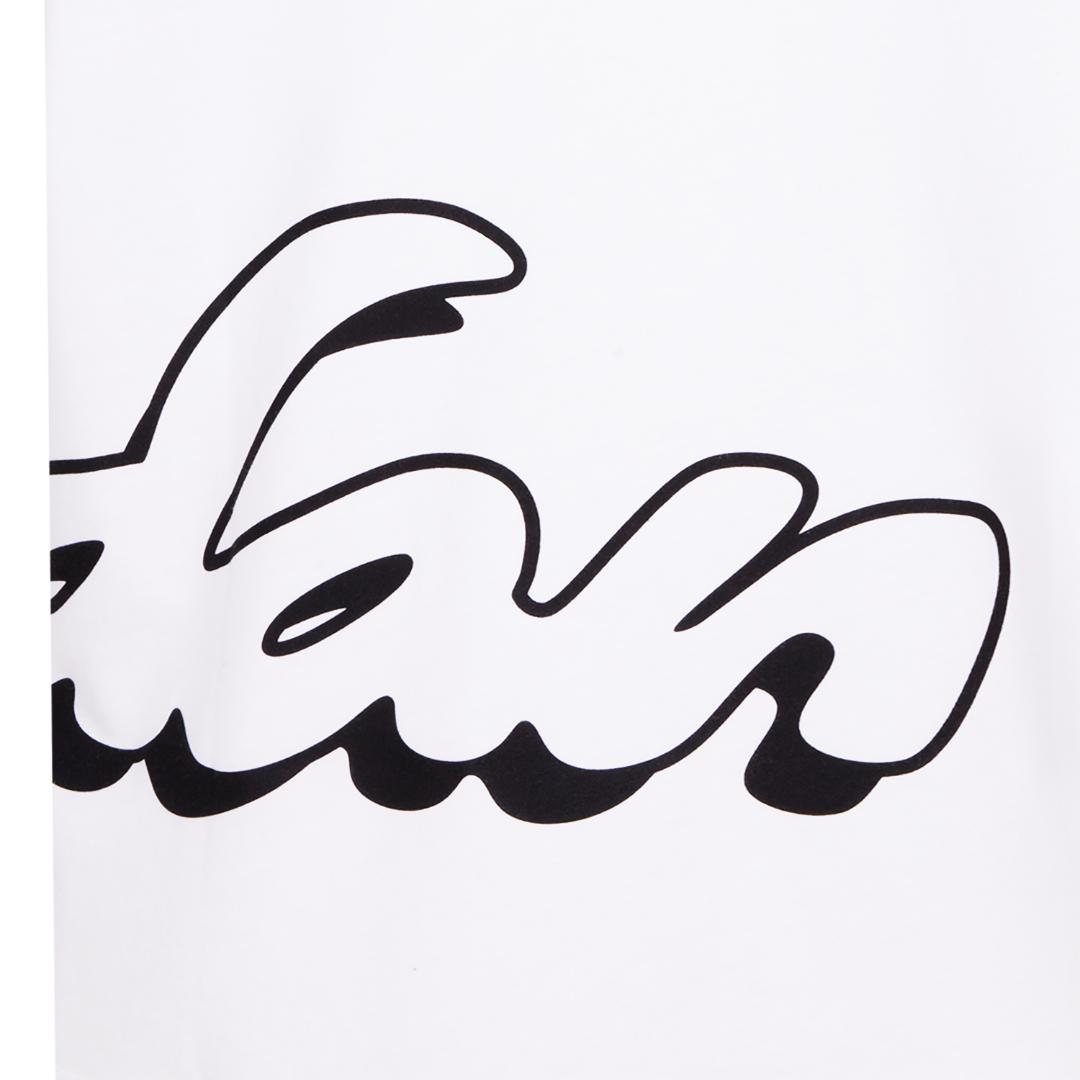 Jordan Girls Enchantment Script Short Sleeve Tee White (Big Kids)