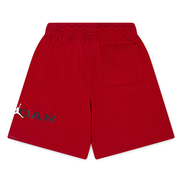 Jordan Boys Dri-FIT Baseline Mesh Shorts (Big Kids)