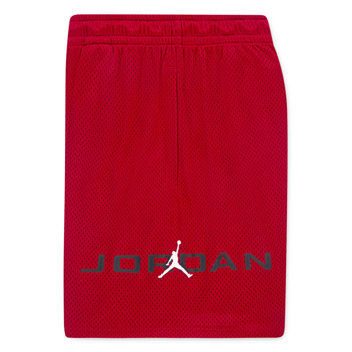 Jordan Boys Dri-FIT Baseline Mesh Shorts (Big Kids)