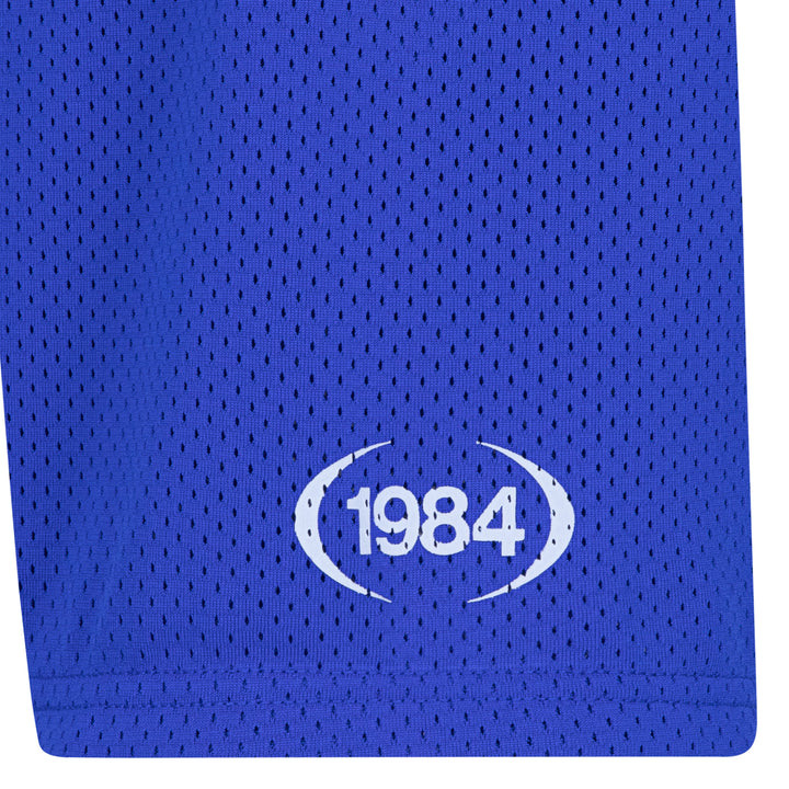 Jordan 1984 Jumpman Mesh Short (Big Kids)