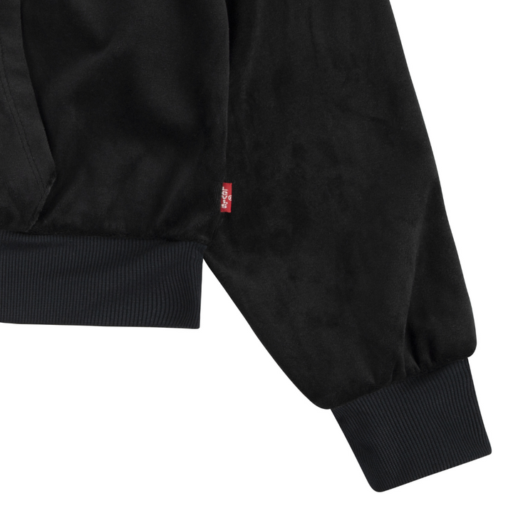 Levi's Meet and Greet Velour Hoodies (Big Kids)